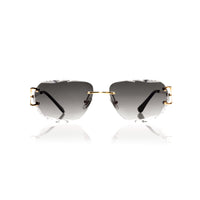 Vision Optik