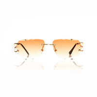Vision Optik