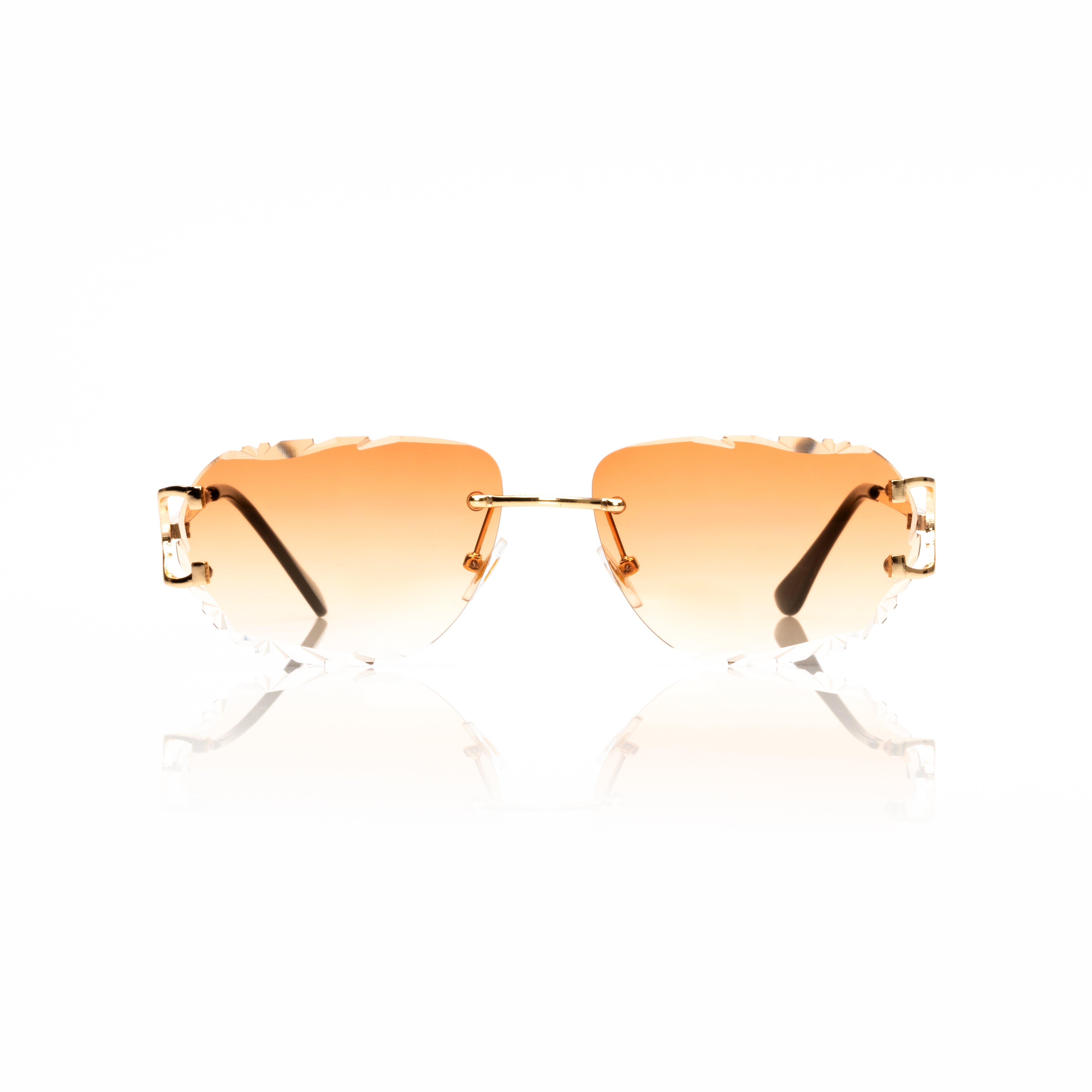 Vision Optik