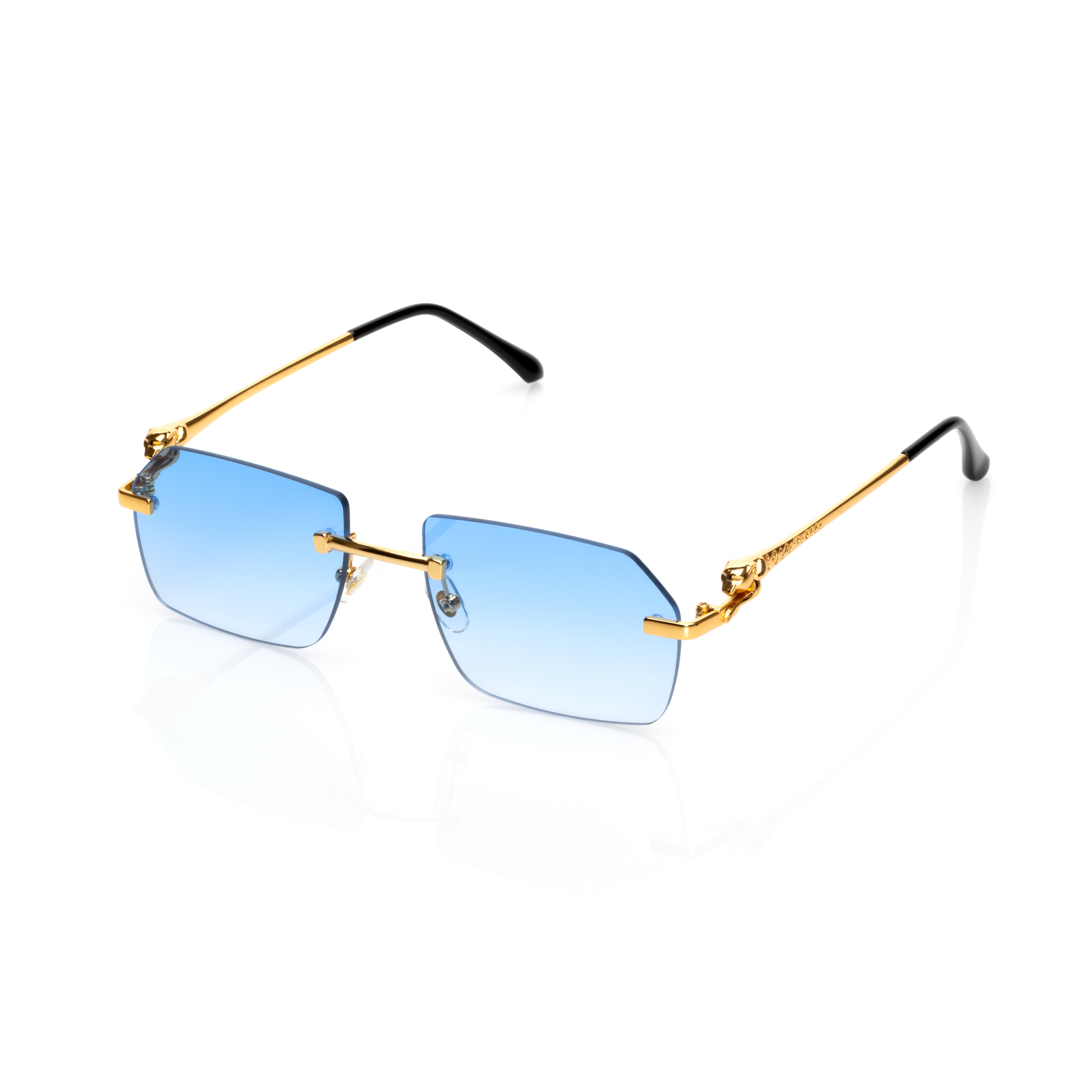 Vision Optik
