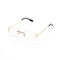 Vision Optik