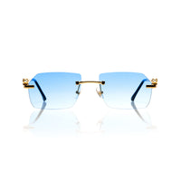Vision Optik