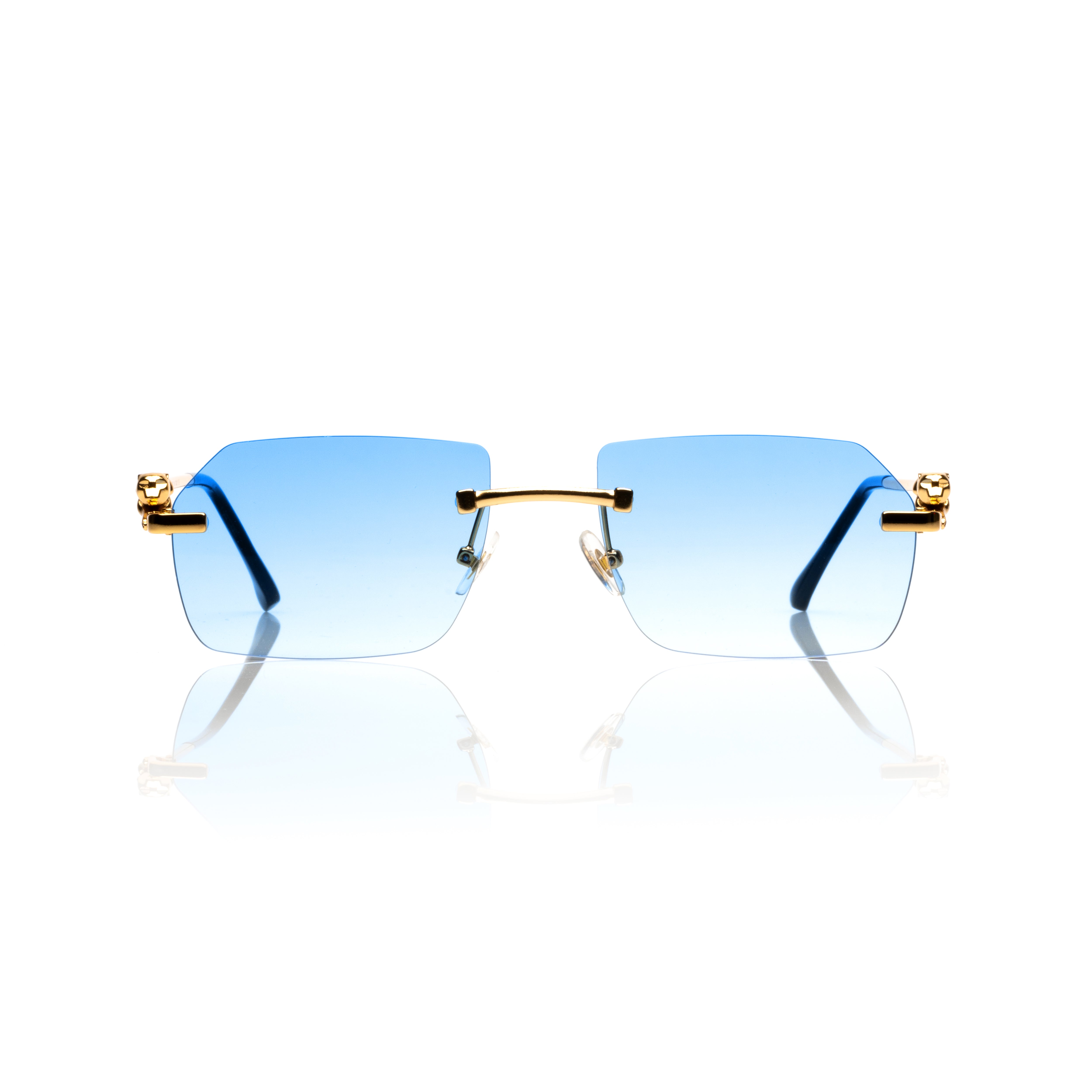 Vision Optik
