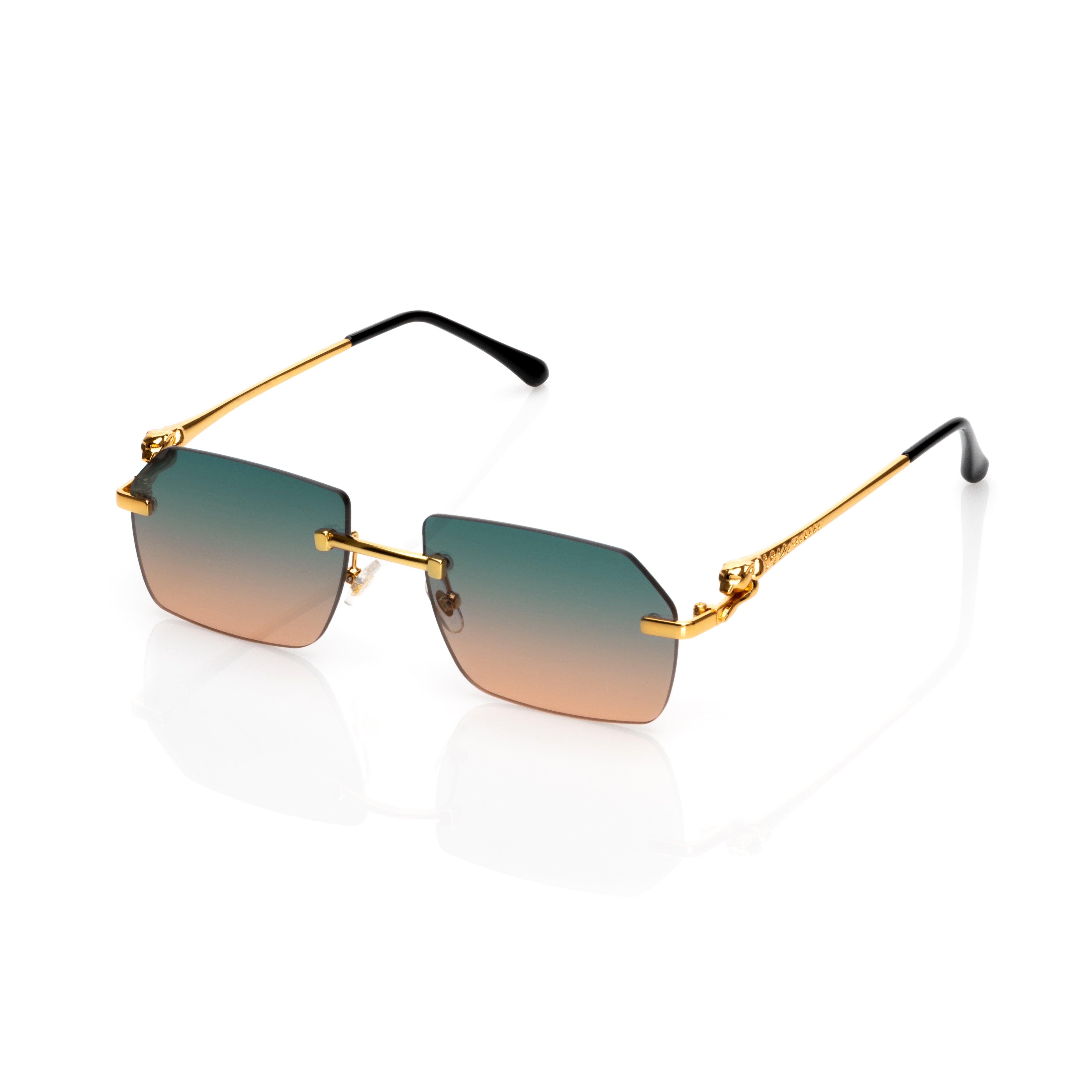 Vision Optik