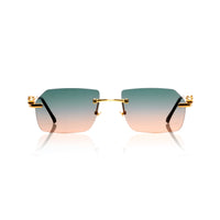 Vision Optik