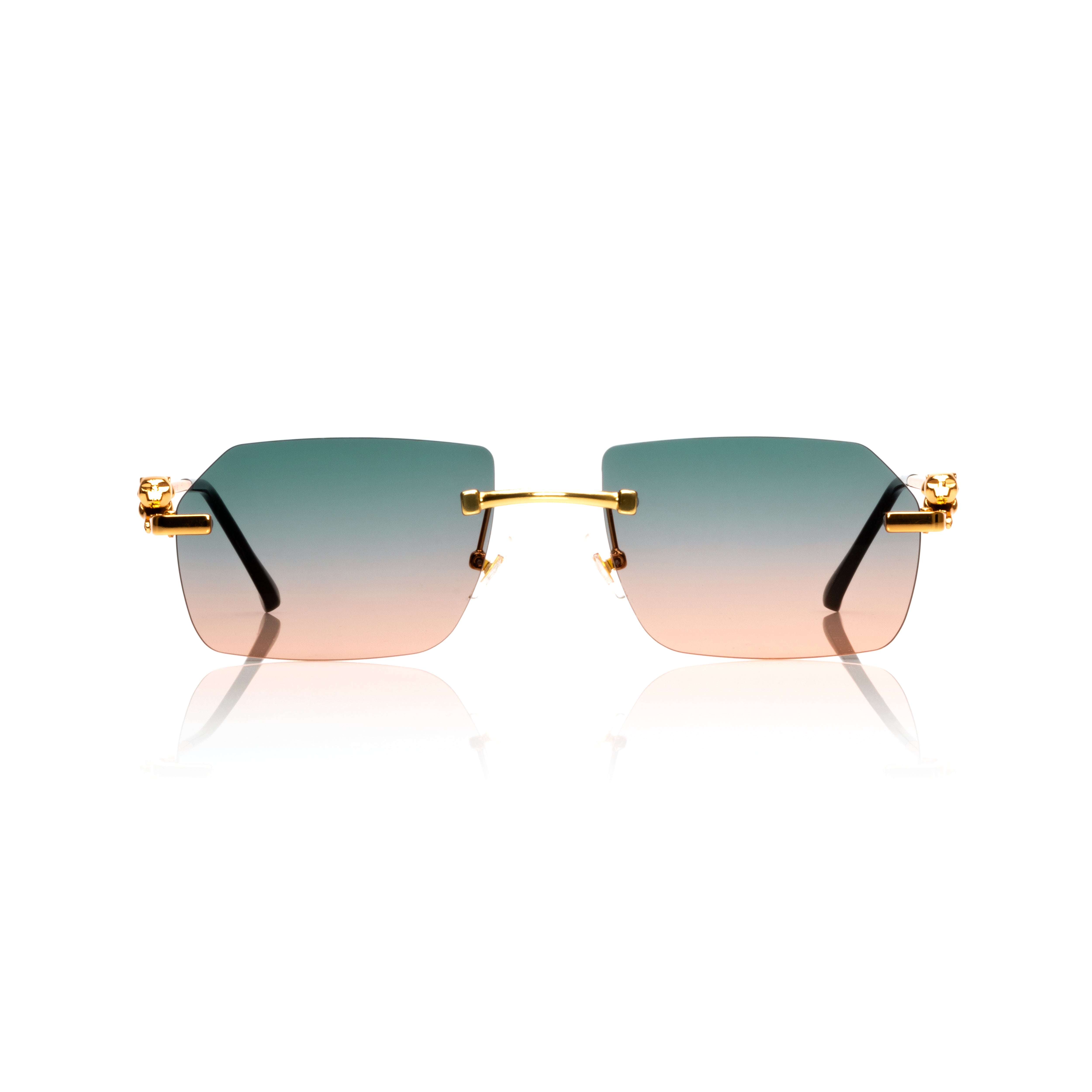Vision Optik