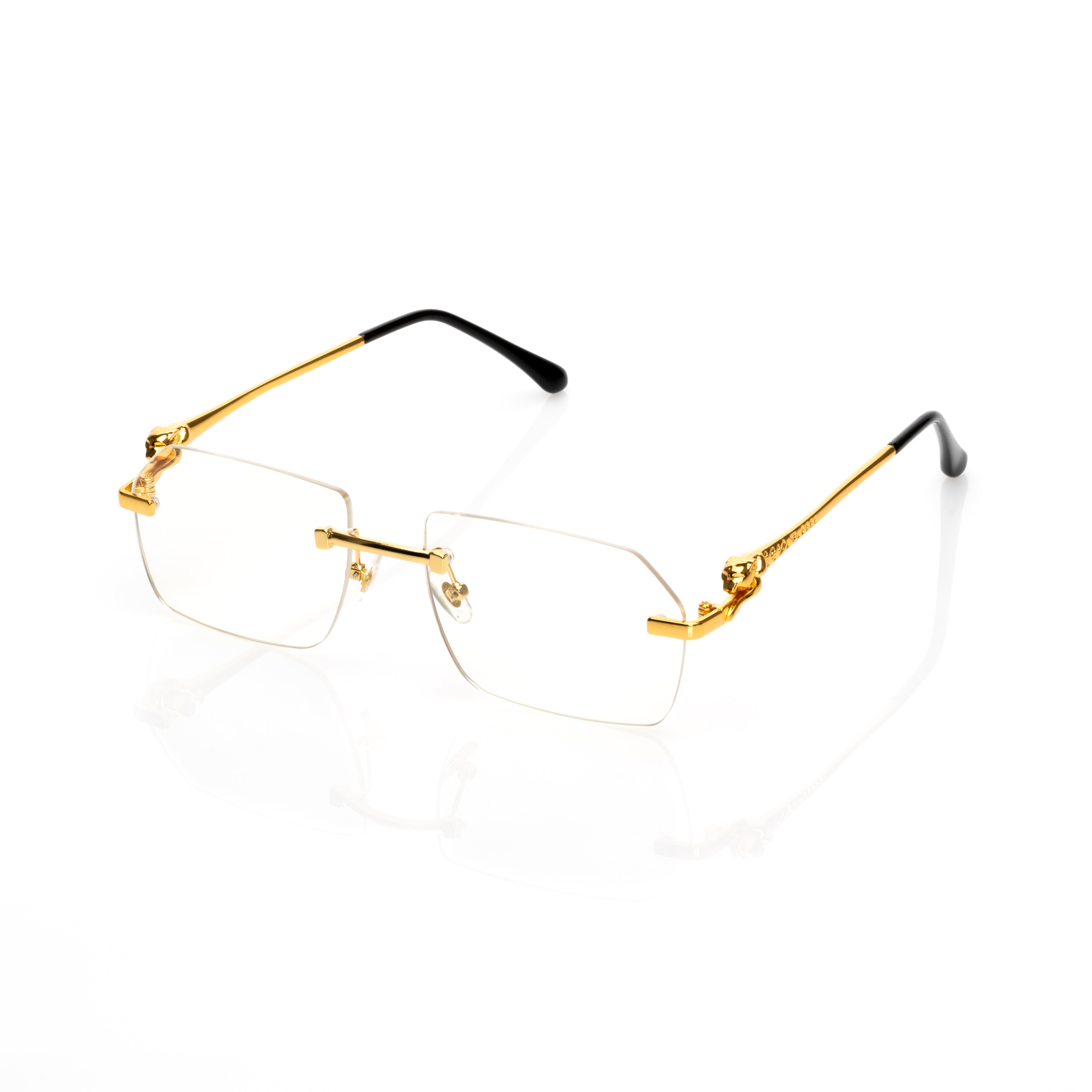 Vision Optik