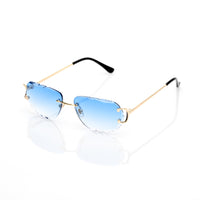 Vision Optik