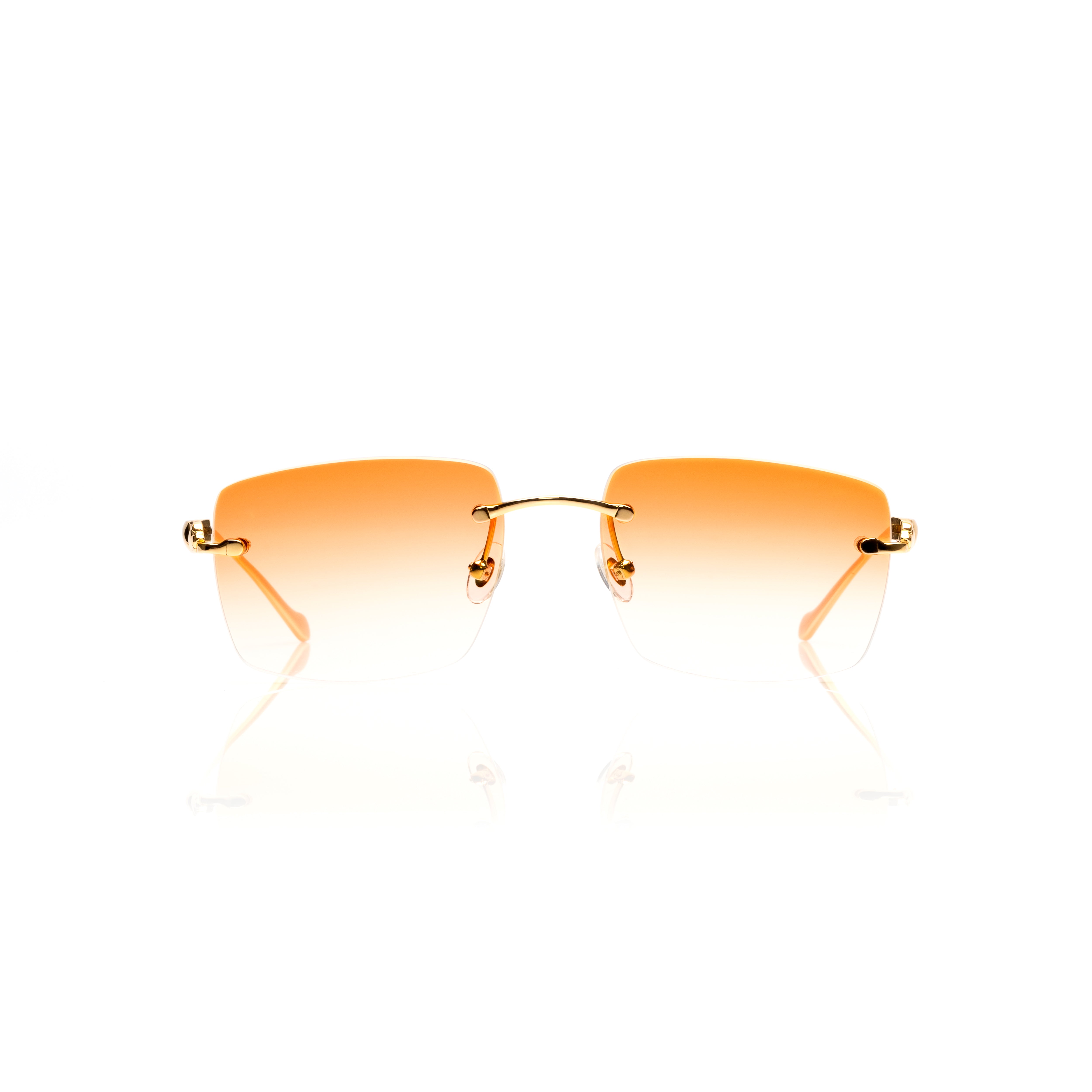 Vision Optik