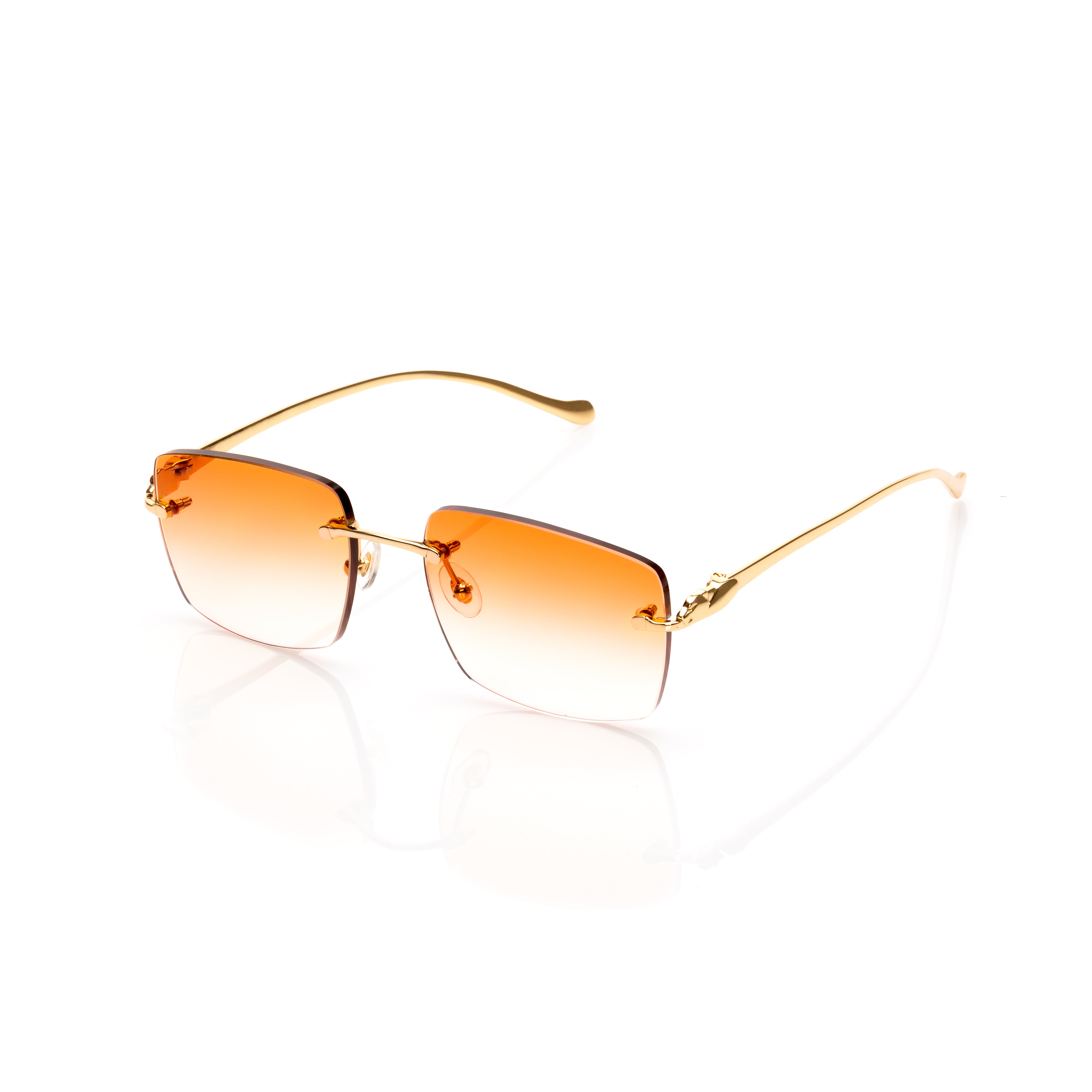 Vision Optik