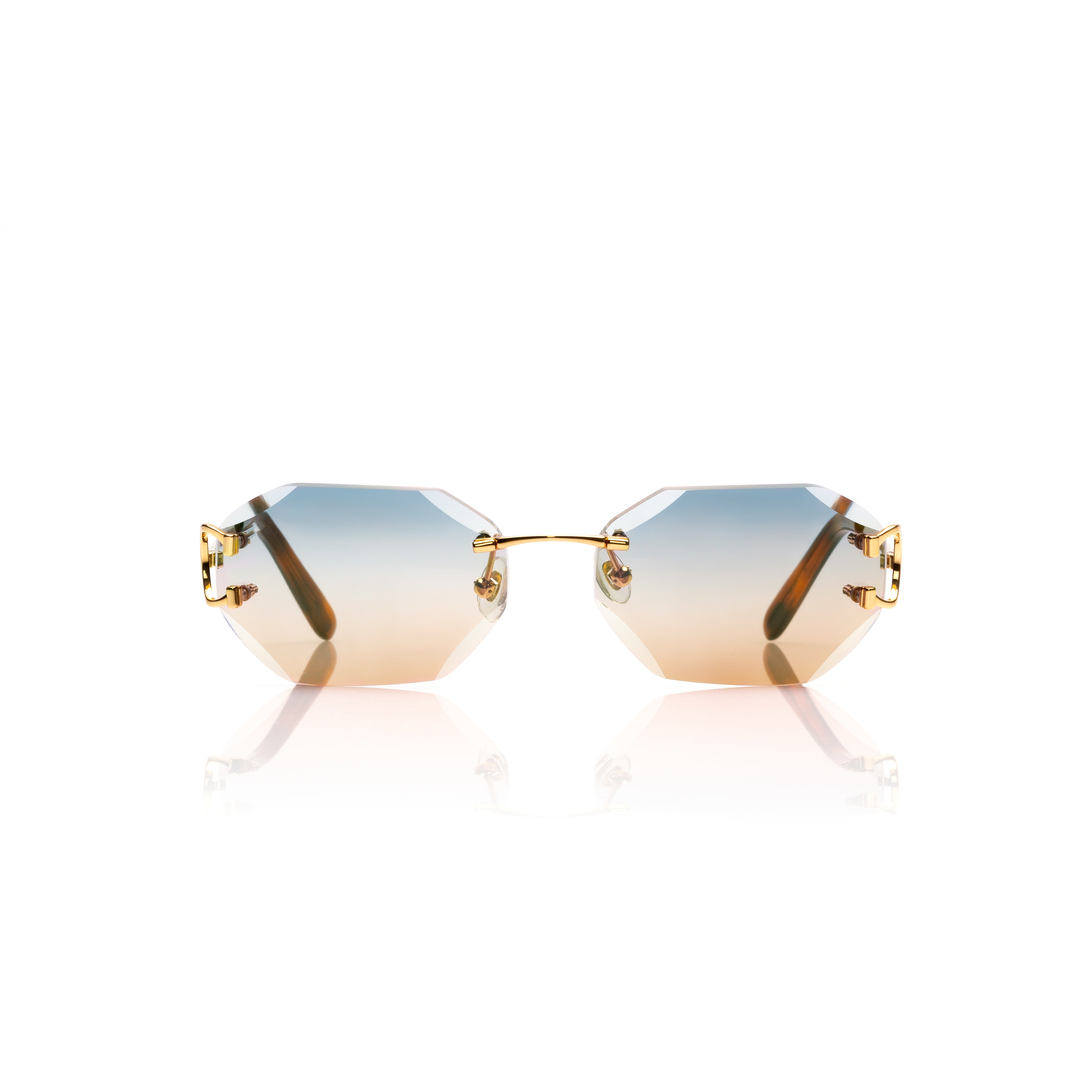 Vision Optik