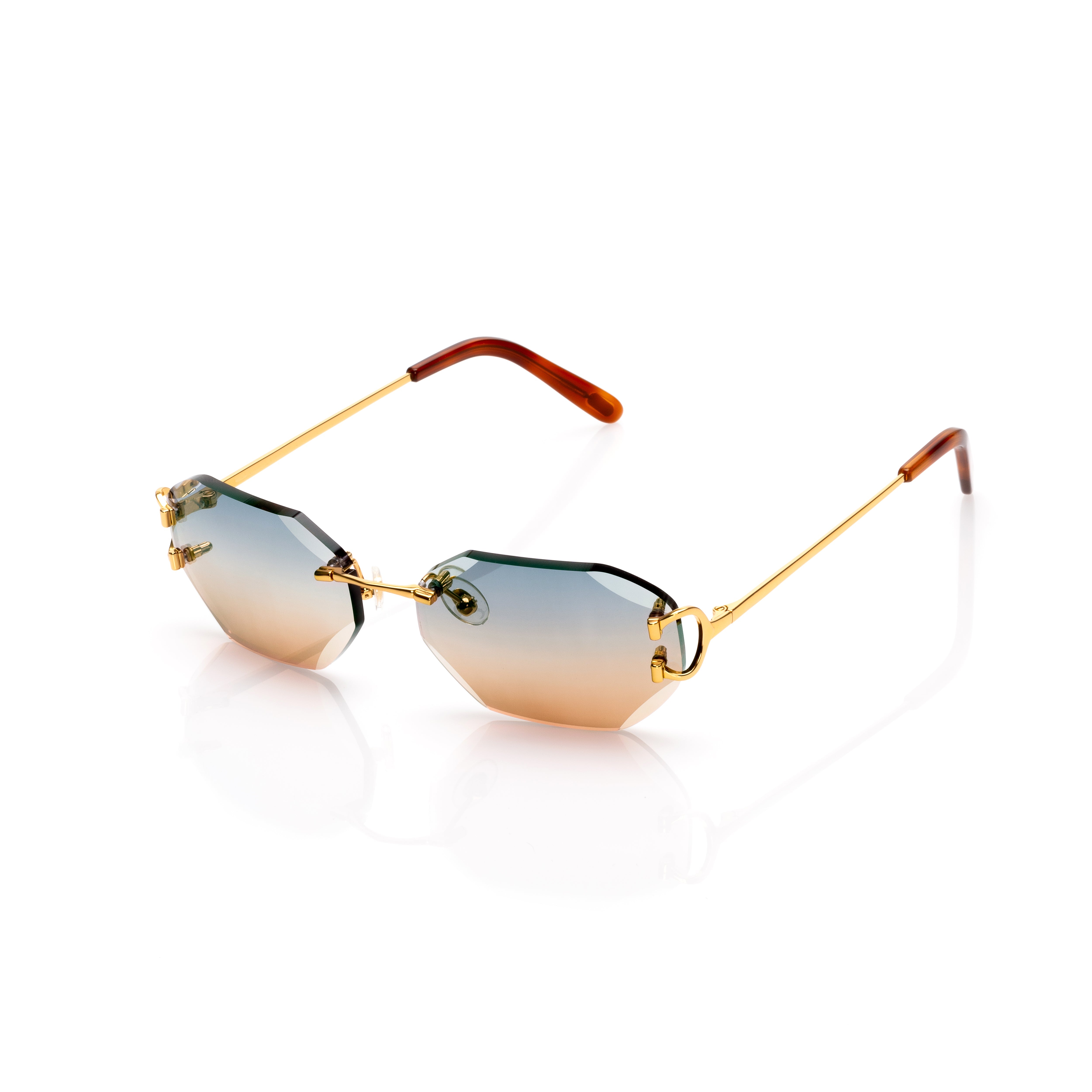 Vision Optik