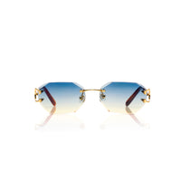 Vision Optik