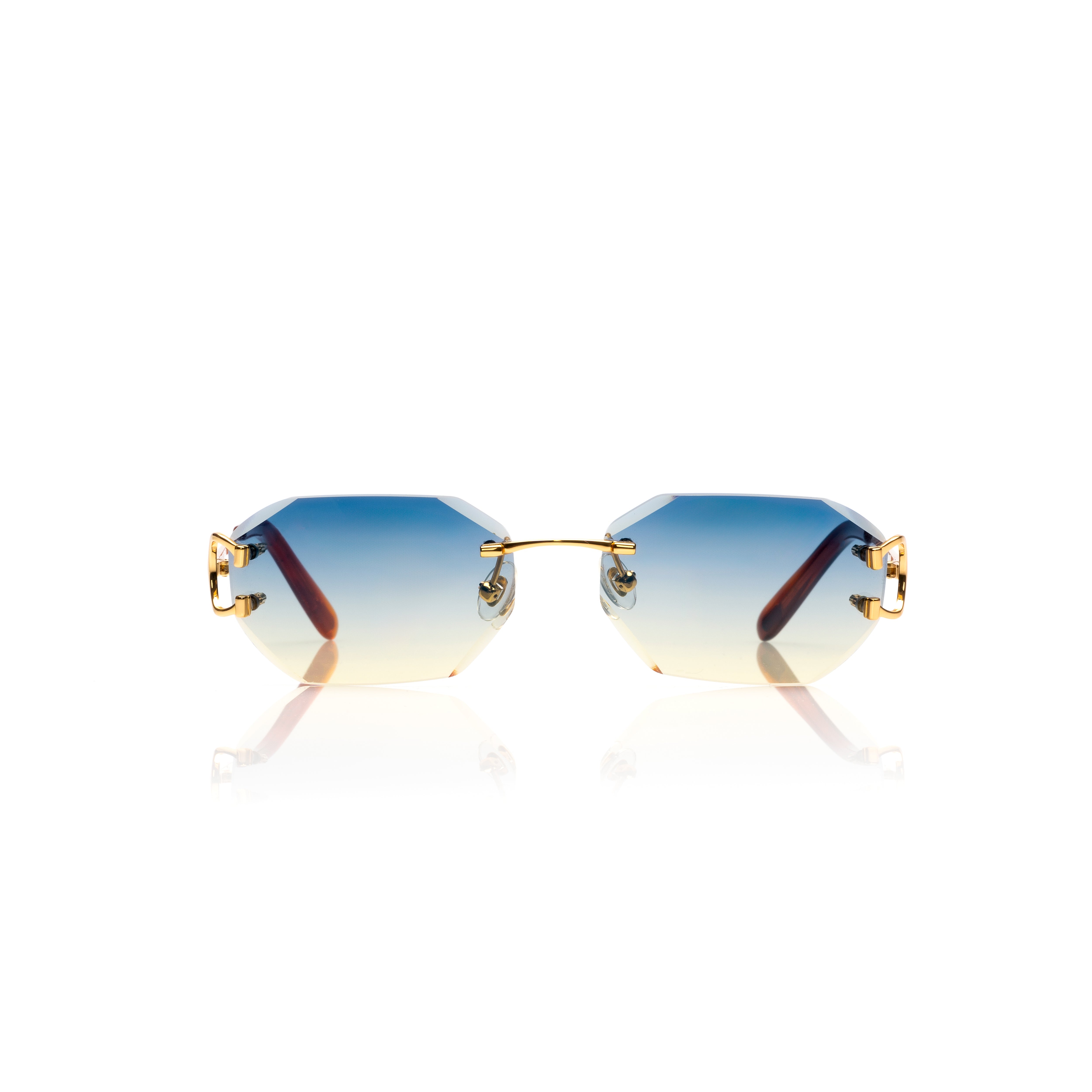 Vision Optik