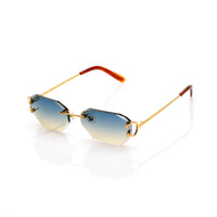 Vision Optik