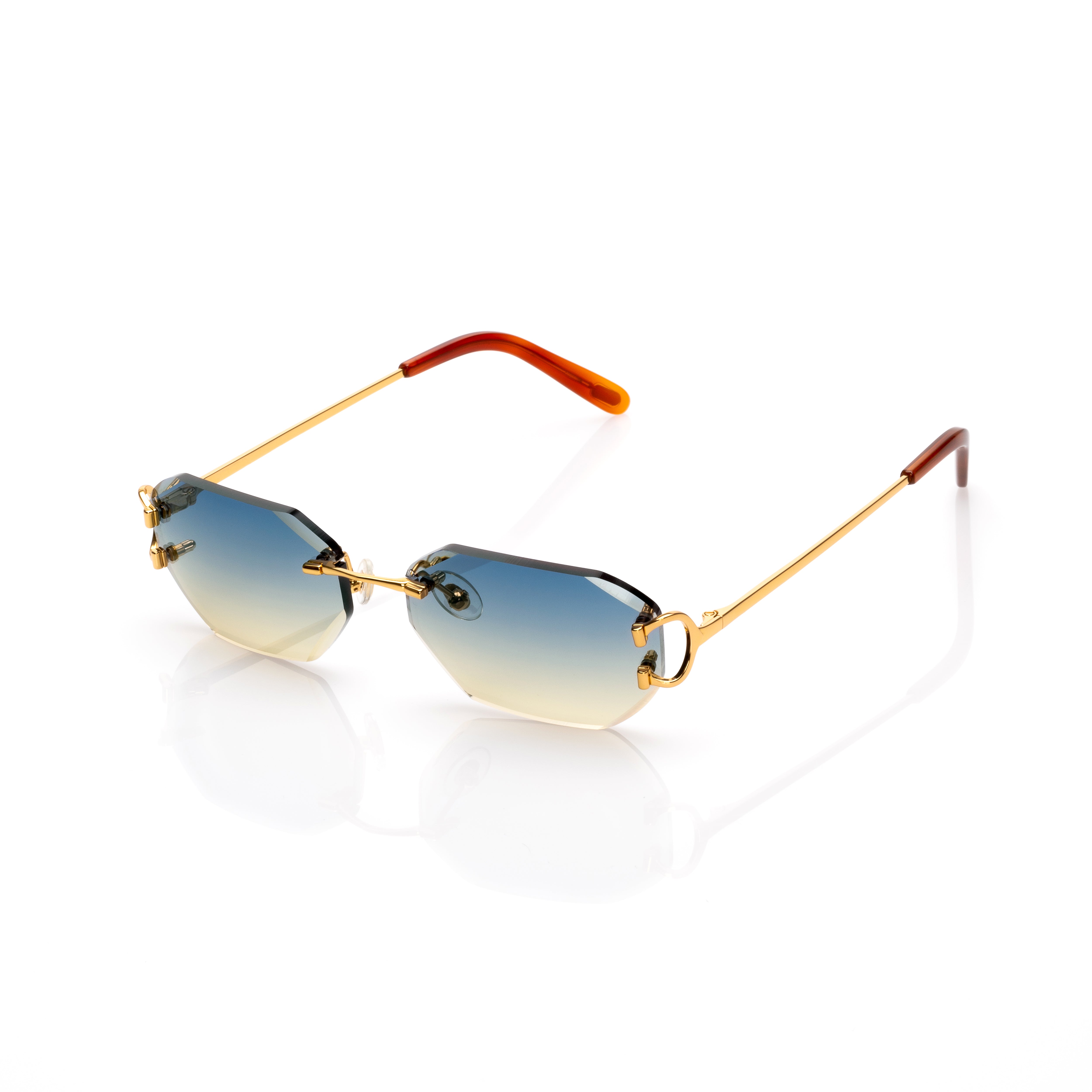 Vision Optik