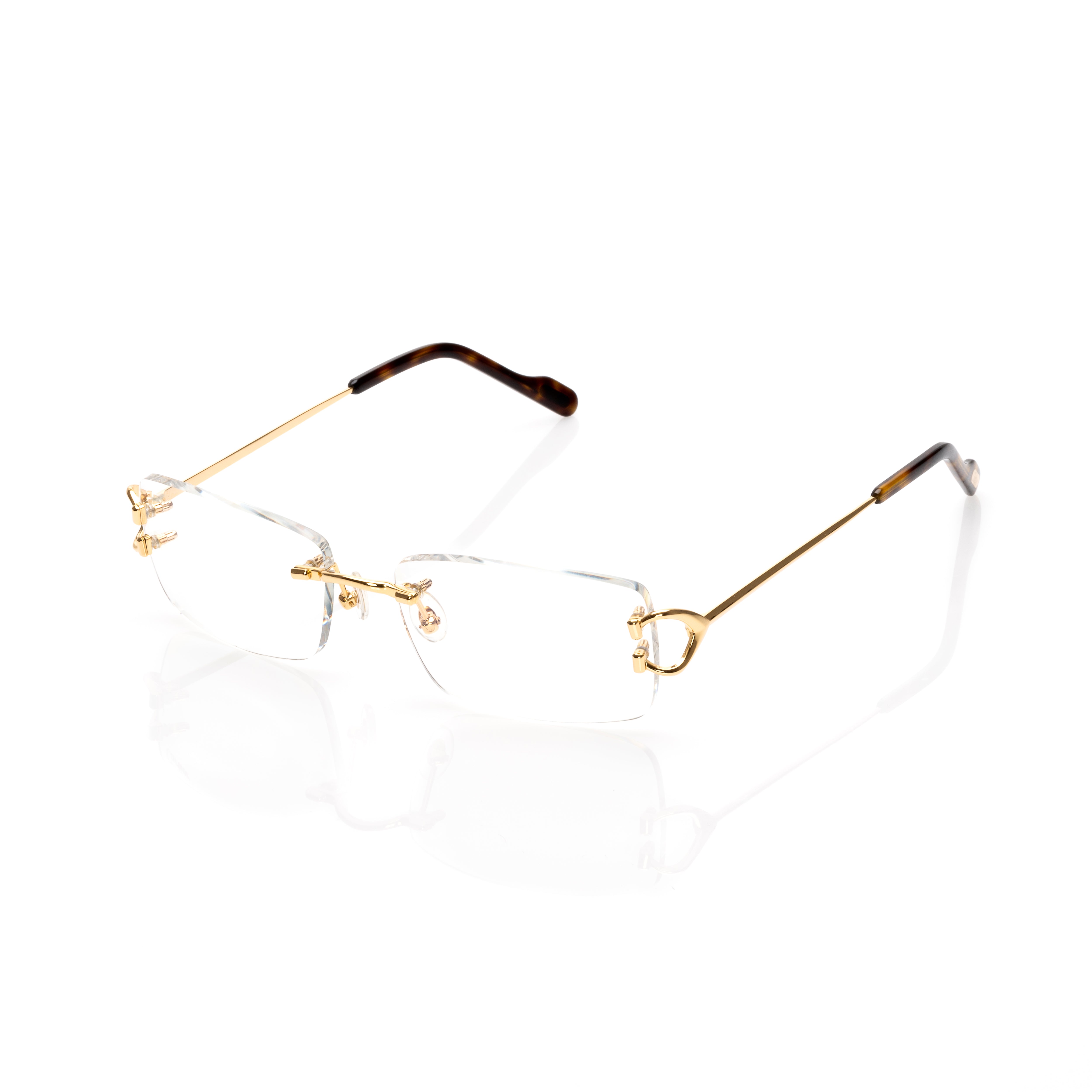 Vision Optik