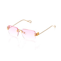 Vision Optik