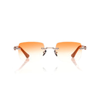 Vision Optik