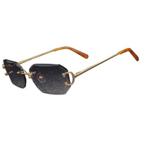 Vision Optik