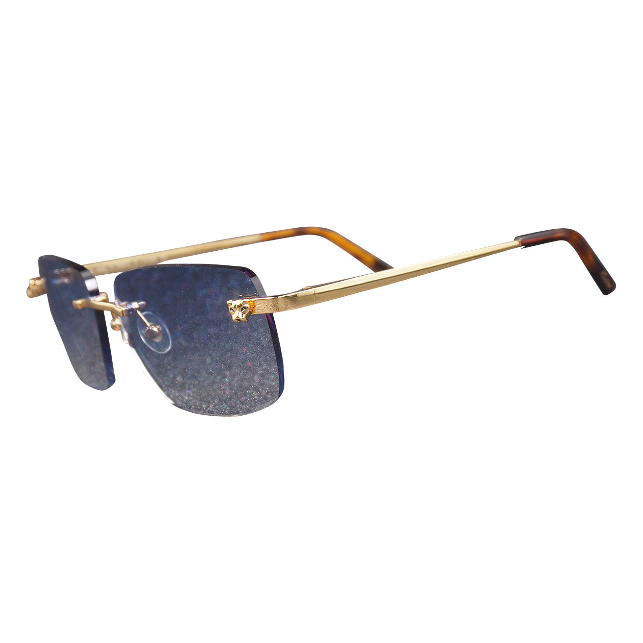 Vision Optik