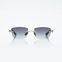 Vision Optik
