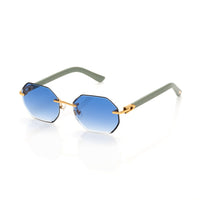 Vision Optik