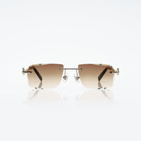 Vision Optik