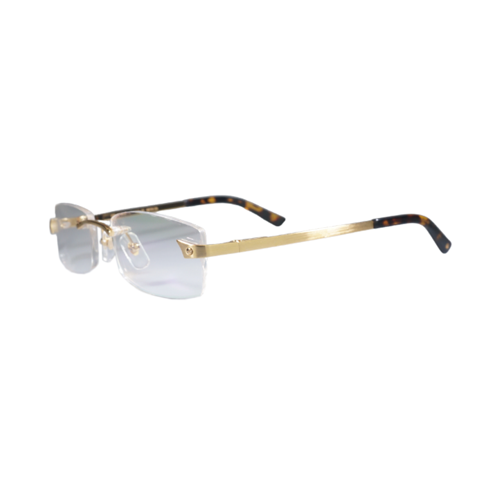 Vision Optik