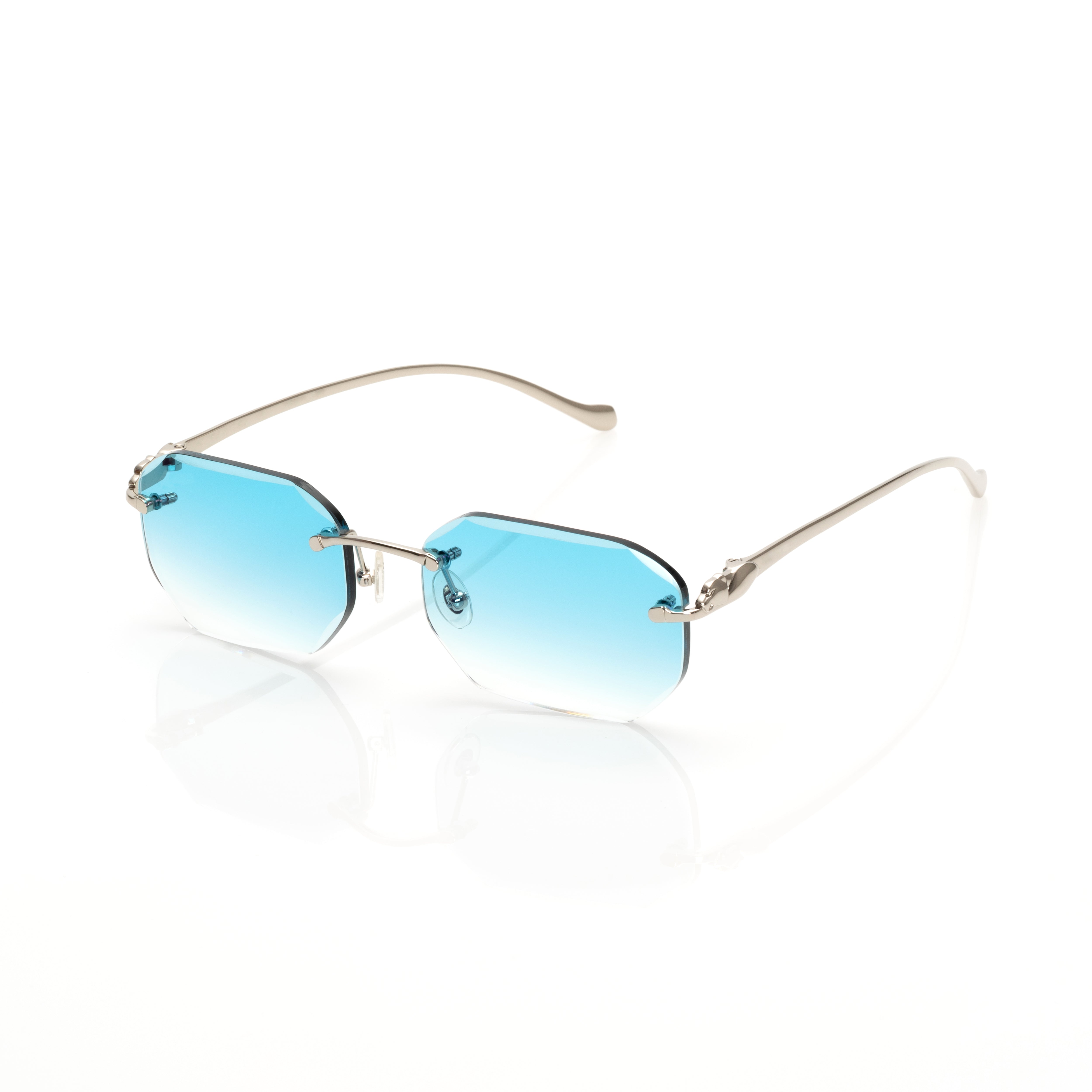 Vision Optik