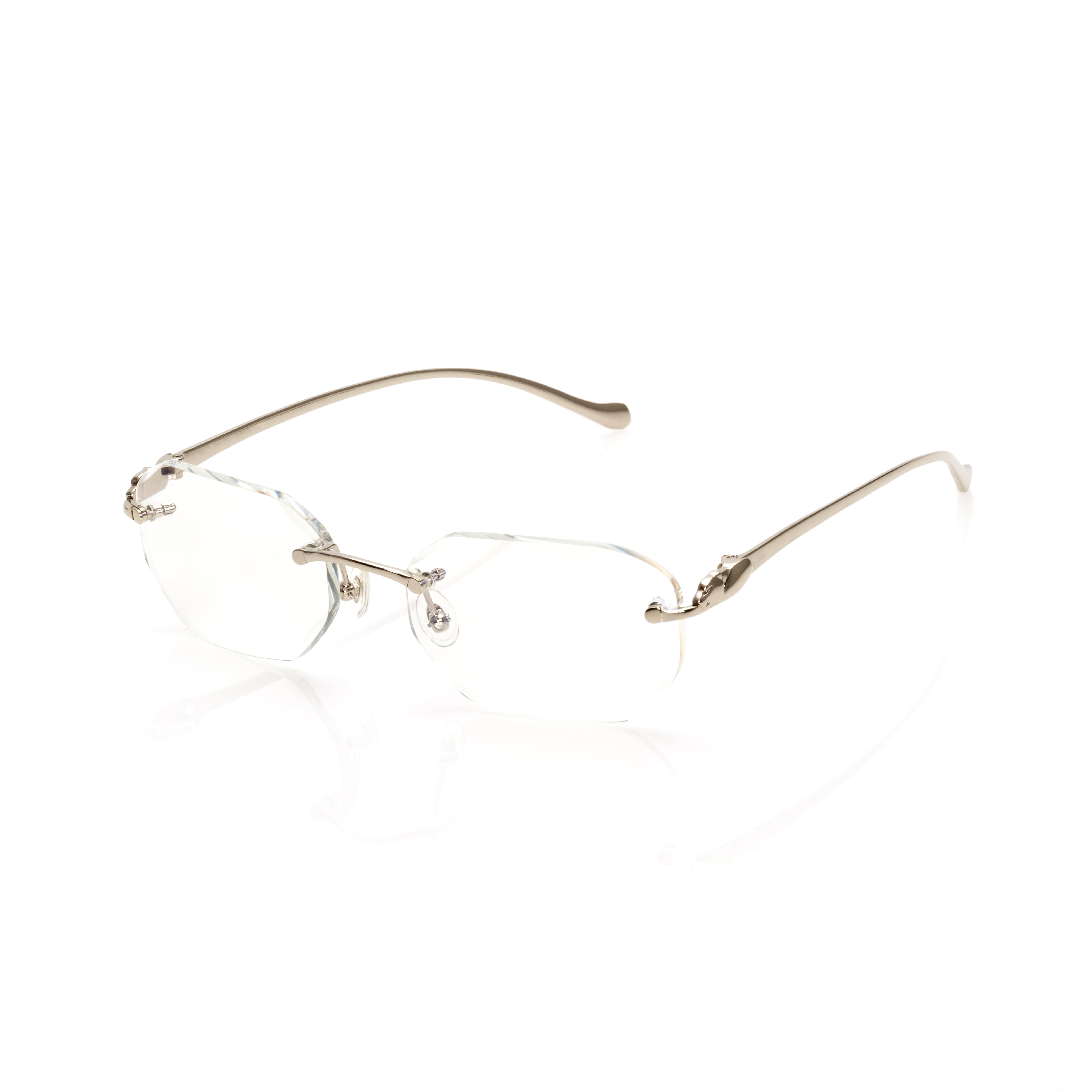 Vision Optik