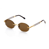 Vision Optik