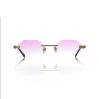 Vision Optik