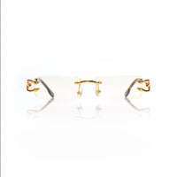 Vision Optik
