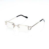 Vision Optik