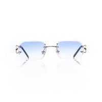 Vision Optik