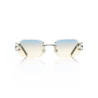 Vision Optik