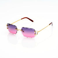 Vision Optik