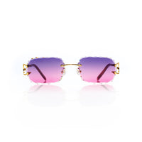 Vision Optik