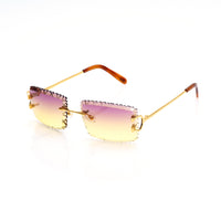Vision Optik