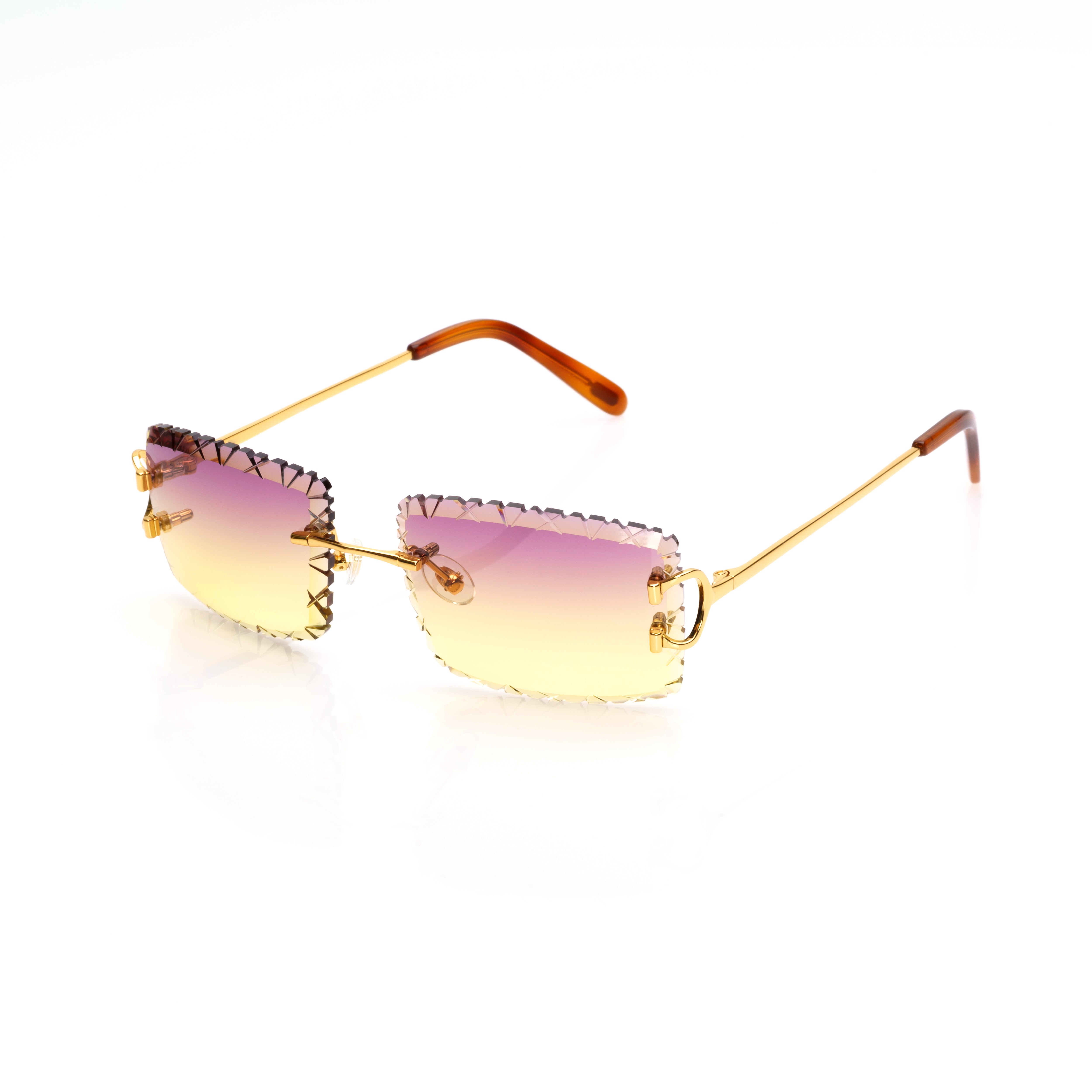 Vision Optik