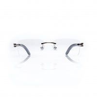 Vision Optik