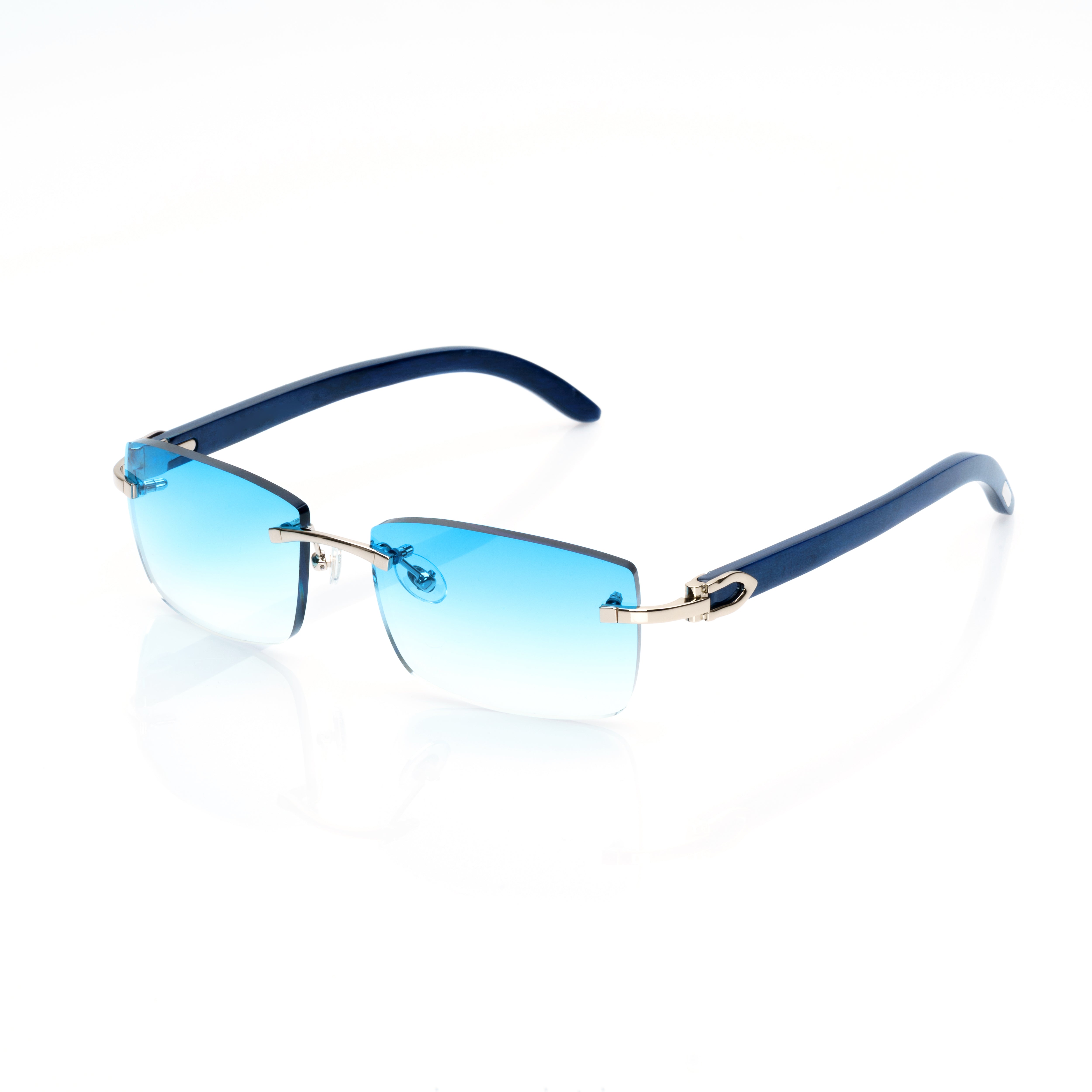 Vision Optik