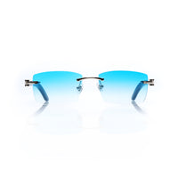 Vision Optik