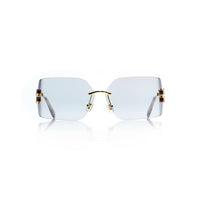 Vision Optik