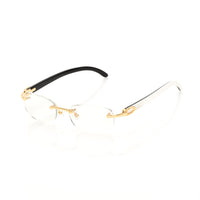 Vision Optik