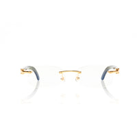 Vision Optik