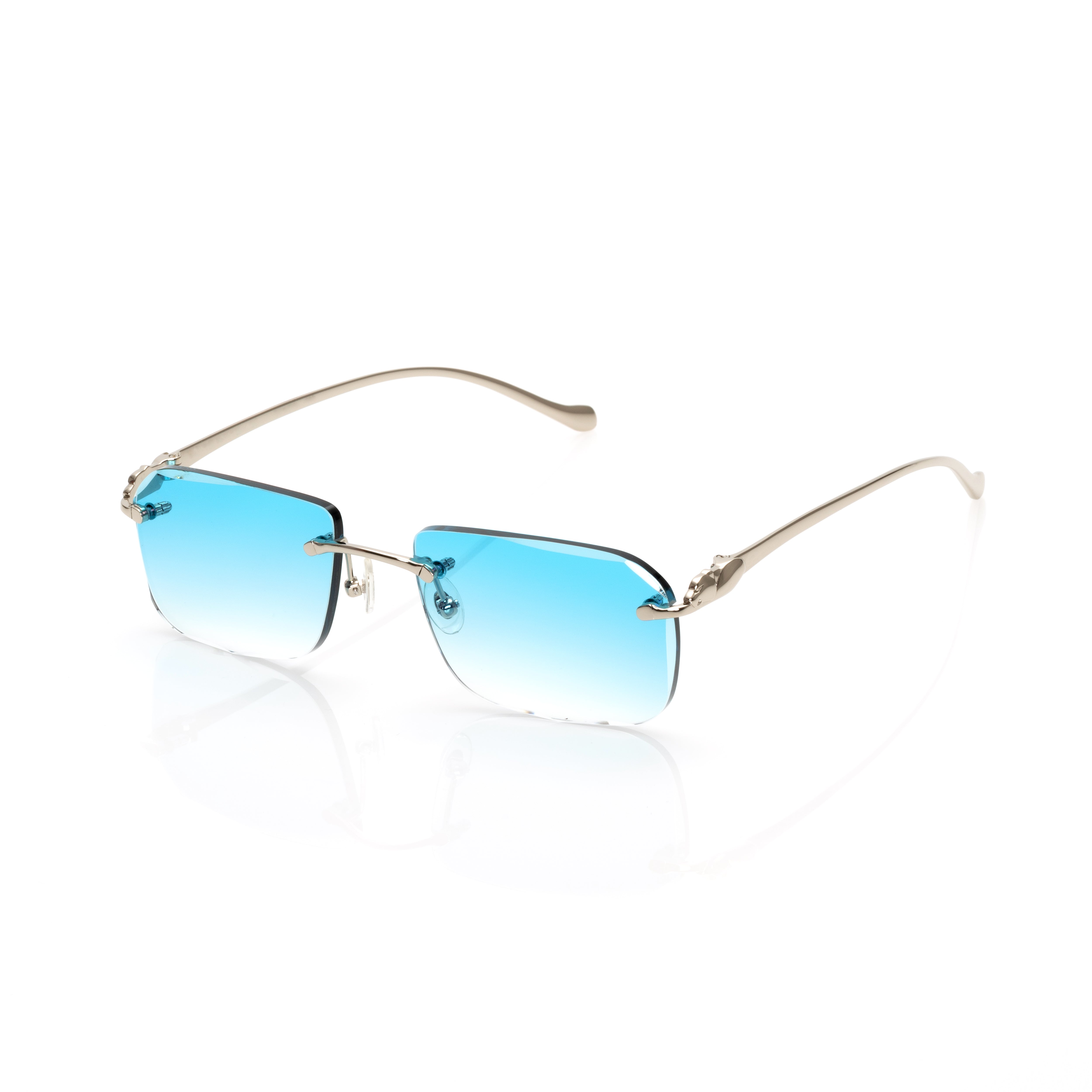 Vision Optik