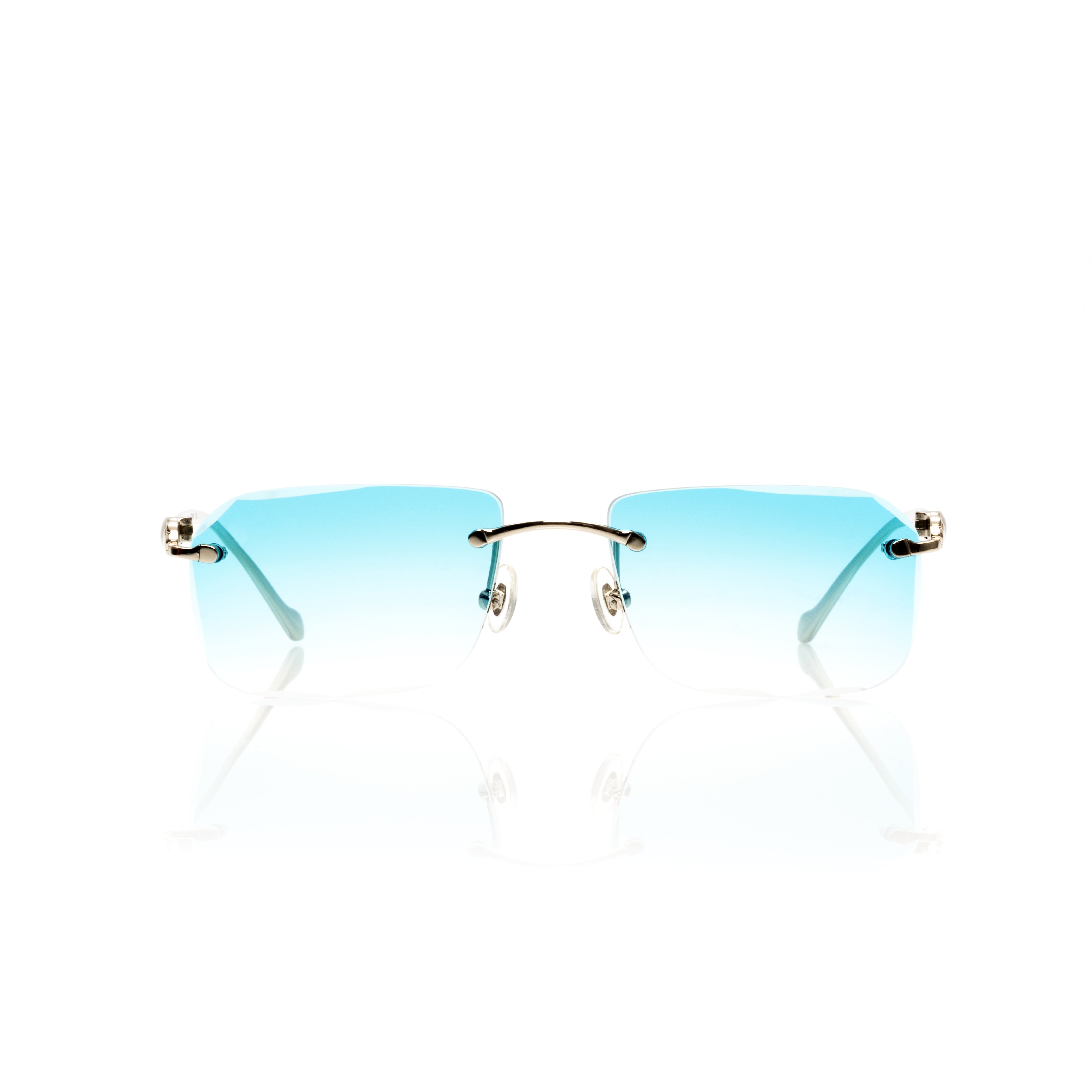 Vision Optik