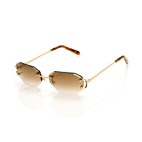 Vision Optik